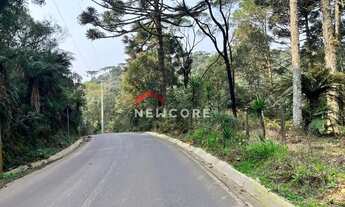 Imagem: Chácara em Estrada da Carapina - Vale do