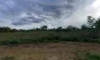 Imagem 7: Fazenda a venda, em Cocalzinho de Goias!!!