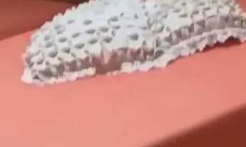 Imagem: Temporada em Piúma