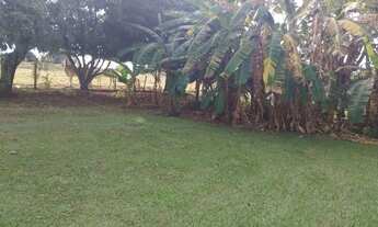 Imagem 6: Sitio em cajuru 6 alqueires 1.500.000.00 ( d