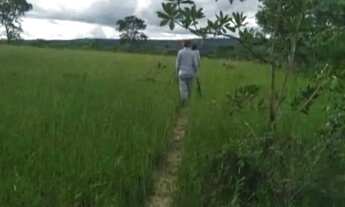 Imagem 5: Fazenda de 61 Alqueires em Palestina de Goiás Dupla Aptidão!