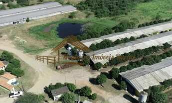 Imagem 5: Sitio com granjas, 200 mil aves