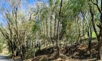 Imagem 7: Terreno á venda no Cond. Morada das Nascentes em Joaquim Egidio Campinas