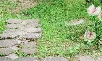 Imagem 5: Watts * casa a venda