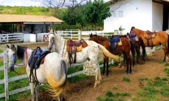 Imagem 4: FAZENDA REAL 3 Chácara com venda por R$70.000