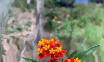 Imagem 5: VENDO / TROCO - Lindo Sítio em Natividade da Serra - SP