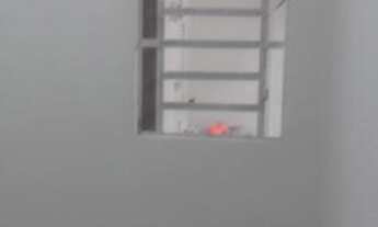 Imagem 5: Casa no pina Casa com 3 dormitórios