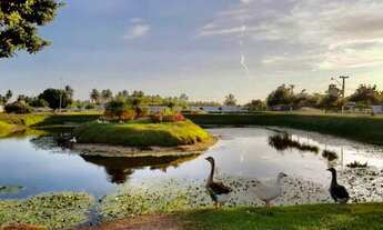 Imagem: Lote no morada do rio!