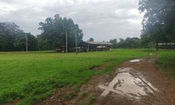 Imagem 6: Fazenda de 265 Alqueires vale do Araguaia Marianopolis TO