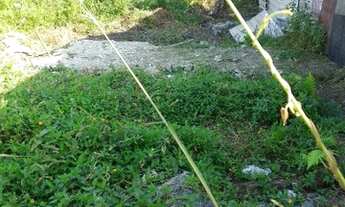 Imagem 2: Terreno em área seca