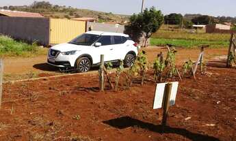 Imagem: Chacara em Alvorada 2