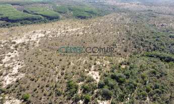 Imagem 2: FAZENDA DE 745 HA EM ESTADO BRUTO BOA PARA PLANTIO DE EUCALIPTO E OUTRAS