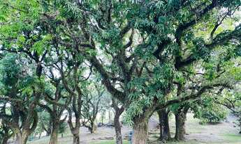 Imagem 6: Chácara a venda sorocaba