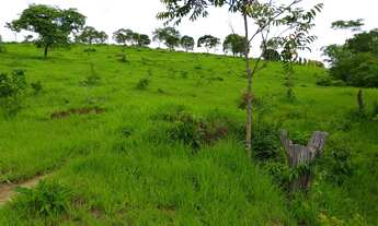 Imagem 2: Chácara em Mairipotaba a 80 km de Goiânia com córrego energia chácaras 20.000 metros