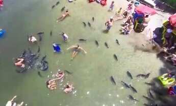 Imagem 5: RESORT VILLA DAS AGUAS (praia do saco / Lagoa dos tambaquis