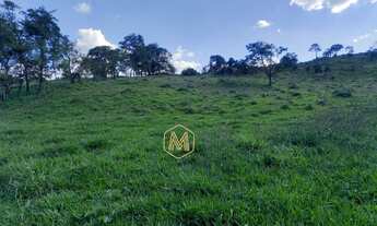 Imagem 6: FAZENDA 194HC - 130 Km de BH - PREPARADA GADO DE CORTE - CARMÓPOLIS/MG