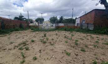 Imagem 6: Sítio Chácara com venda por R$235.000