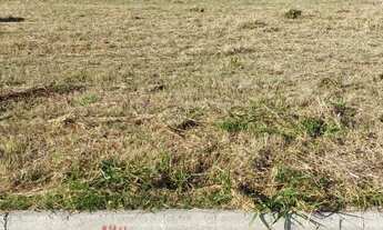 Imagem 5: Terreno Bosque do Imperador