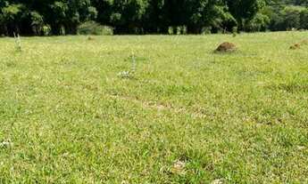 Imagem 5: Lotes para fazendas