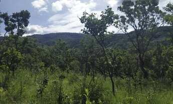 Imagem: 186 Alqs Terra Mista Ja Foi Aberta Mais