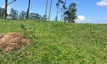 Imagem: Mega promoção chácaras de 5000m² por