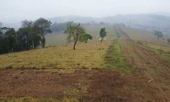 Imagem 6: A13- Lotes/Terrenos próximos ao Parque Municipal Edmundo Zanoni