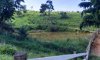 Imagem 7: FAZENDA 194HC - 130 Km de BH - PREPARADA GADO DE CORTE - CARMÓPOLIS/MG