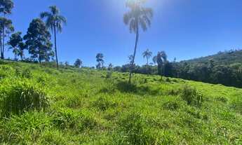 Imagem: Lote/Terreno para venda possui 1000 metros