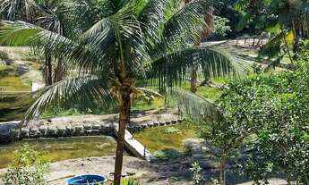 Imagem 4: Sítio km 42 Am-010