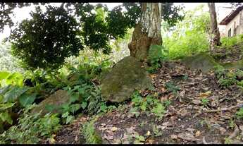 Imagem: Belíssima área verde em Tabatinga