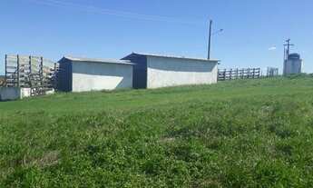 Imagem 7: Linda Fazenda com 210 hectares no vale de monte alegre