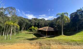 Imagem: BALSA NOVA - Chácara - Mato Chiqueiro