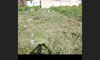 Imagem: Vende-se Terreno Tobias Barreto-Se