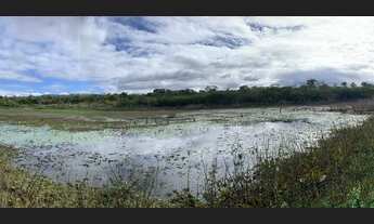 Imagem 5: Fazenda pântano Chapada Diamantina