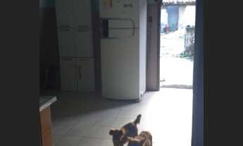 Imagem 2: Casa Casa com 3 dormitórios