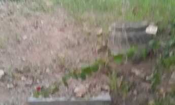 Imagem 5: Lote à venda - São Luiz/ Pampulha - BH