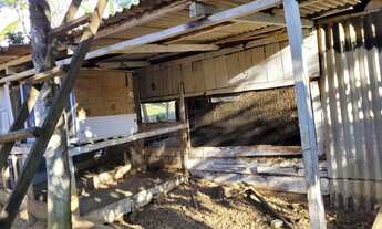 Imagem 3: Colônia Chácara com venda por R$250.000