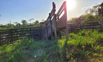 Imagem 4: Colônia Chácara com venda por R$250.000
