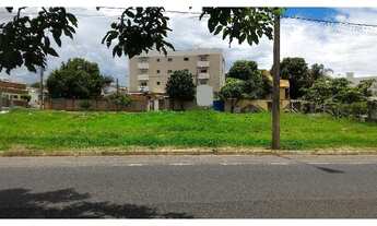 Imagem 3: Aluguel Terreno SANTA MONICA