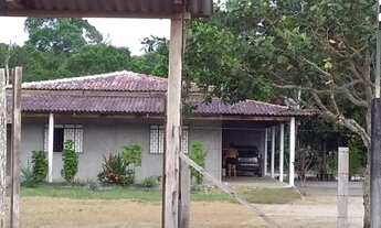 Imagem: Vendo lindo sítio na estrada de novo Airão