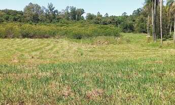 Imagem 2: Chácara de 2 Hectares plana, nascente e riacho
