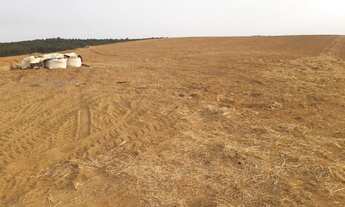 Imagem 4: Fazenda de 136 Alq Região de Alfenas-MG