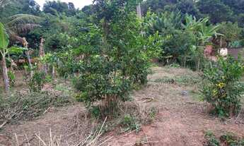 Imagem 5: Vendo Chácara Xonim de Cima