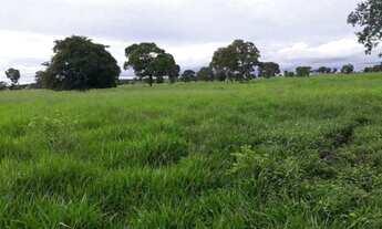 Imagem 6: 248 Alqs Pra Gado Boa Água Logística e Terra Entrada + Uma Centenário TO