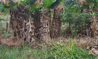 Imagem 4: Vendo Chácara Xonim de Cima