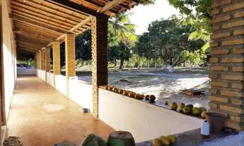 Imagem 5: OPORTUNIDADE ! Sítio dos Sonhos