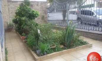 Imagem 2: São Paulo - Casa Padrão - Tatuapé