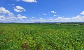Imagem 4: Fazenda entre Colinas do Sul e Cavalcante de Goiás!!!