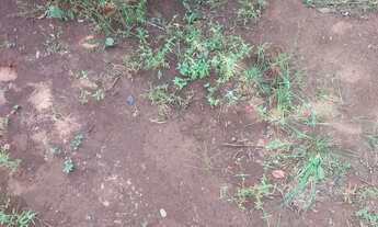 Imagem 5: Fazenda entre Colinas do Sul e Cavalcante de Goiás!!!