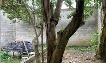 Imagem 3: São Bernardo do Campo - Casa Padrão - Rudge Ramos